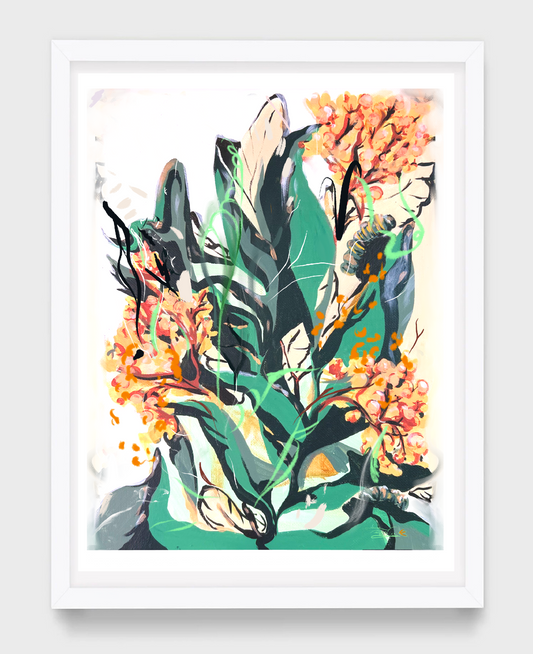 Milkweed Naps - Print