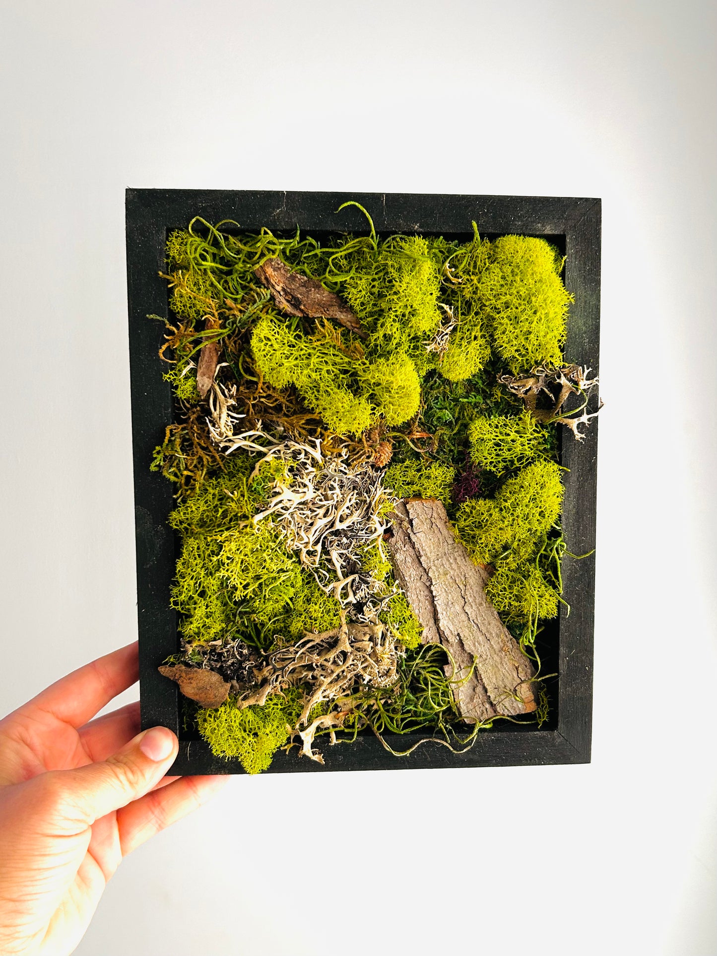 Moss Art Black Frame